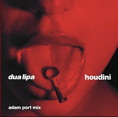 Dua Lipa – Houdini (Adam Port Mix) Mp3 Download